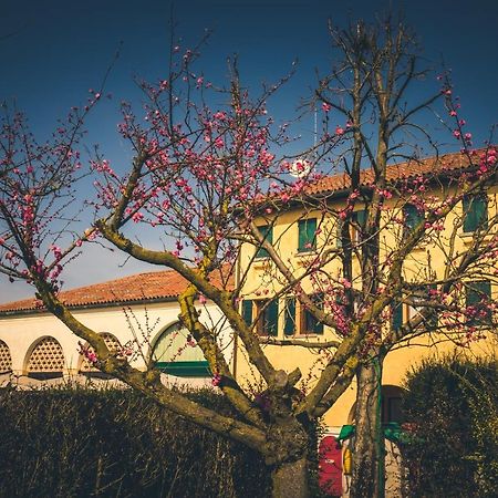 Le Vigne Morosina Villa Cessalto ภายนอก รูปภาพ
