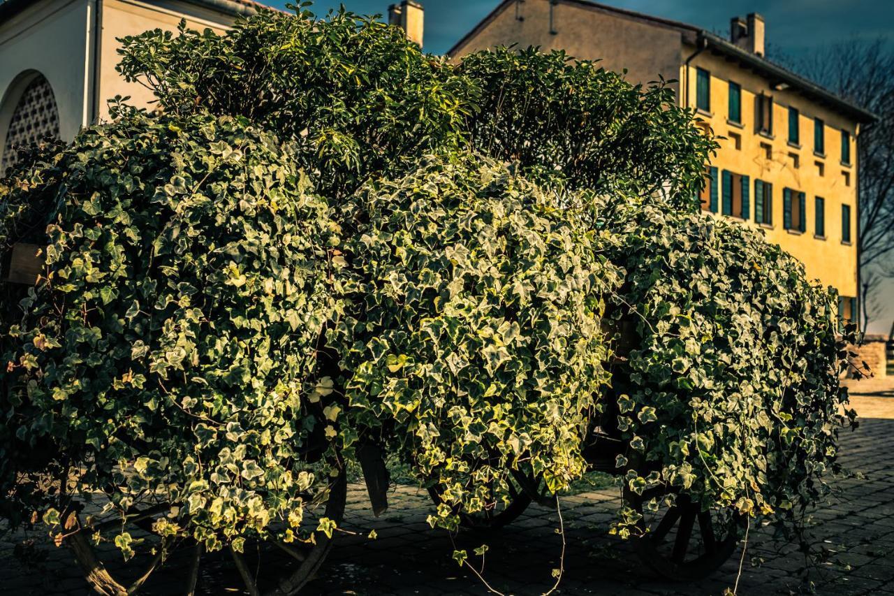 Le Vigne Morosina Villa Cessalto ภายนอก รูปภาพ